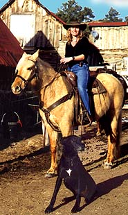 USA-Colorado-Colorado Cowboy Weekend